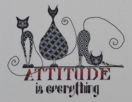 Cat Attitude - Is Everything